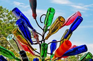 bottle-tree-001a