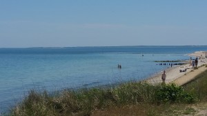 Oaks Bluff Beach from the Bus