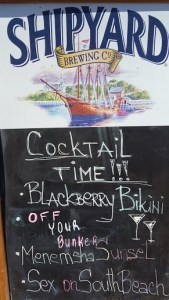 Oaks Bluff Blackberry Bikini