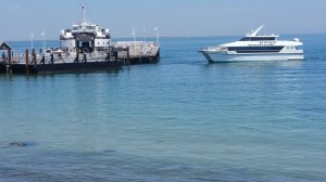 Oaks Bluff Boat on Water