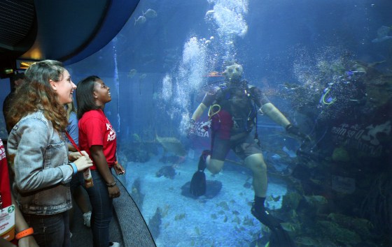 DDA Florida Dreamers at Marine Biology