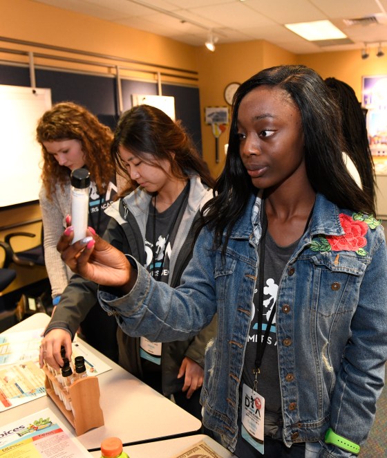 Disney Dreamers Academy 2018